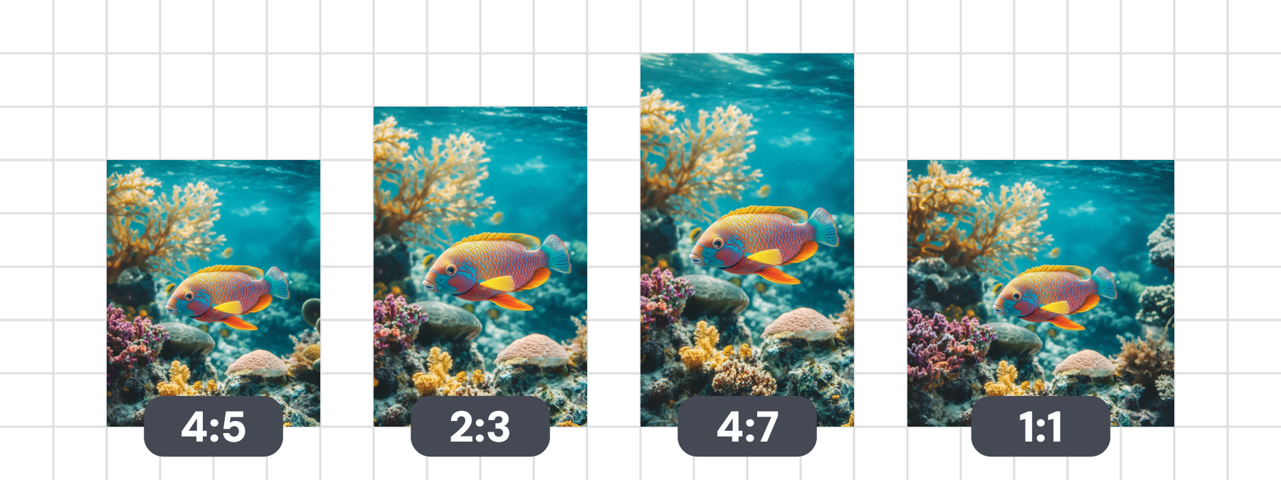 Examples of images in different aspect ratios overlaid on a grid