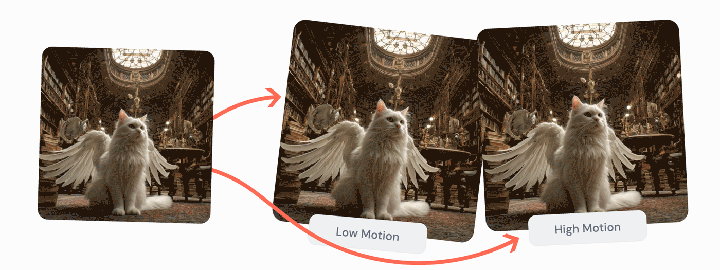 video-header-new.gif